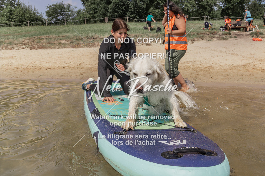 BUHU_SUP_671 | nelerasche