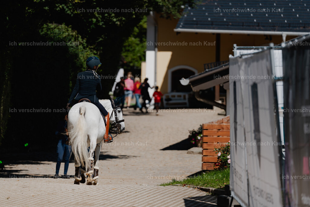Steffi23_FHC2025-54 | working equitationturnier fotograf videograf stoibphotography marixx film working equitation deutschland reitsport turnierfotografie eventfotografie equestrian events