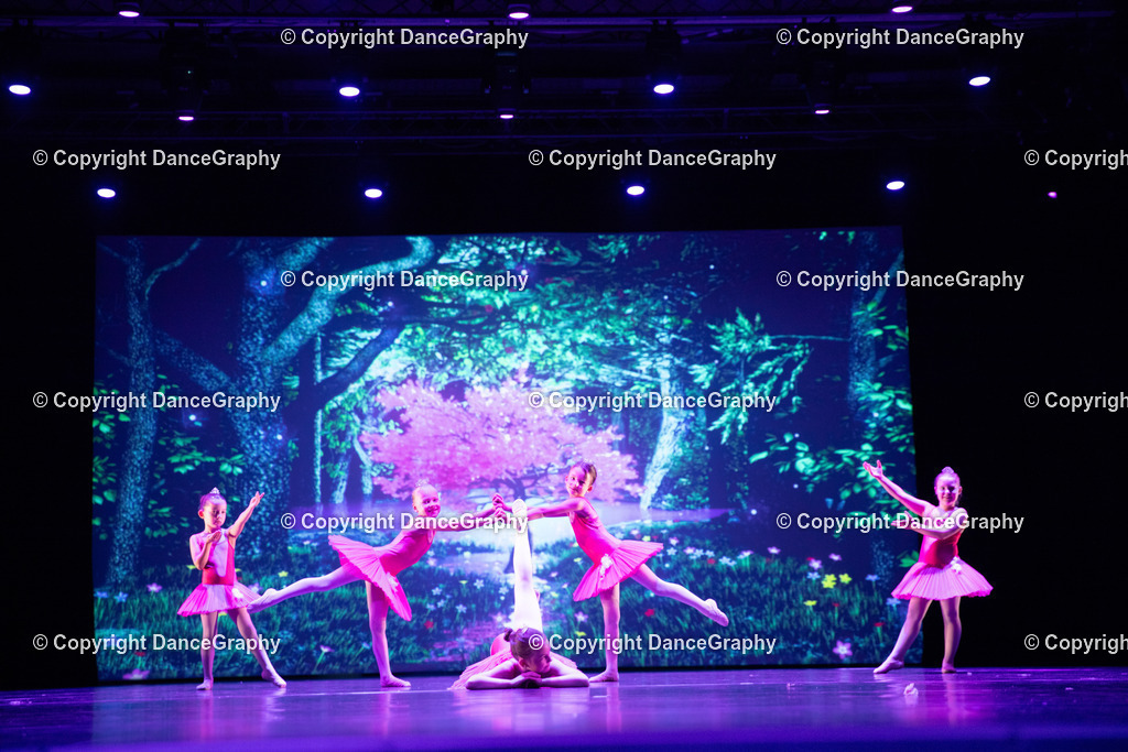 GPHY5034 | DanceGraphy - Realisiert mit Pictrs.com