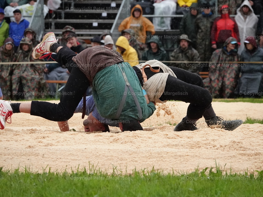 DSC07535 | Schwingen - Realisiert mit Pictrs.com