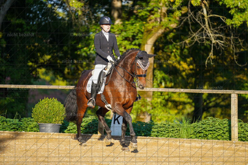 20221007-FAH00414 | Diessen am Ammersee, 2022, Dressur- und Springturnier, Reitsportbilder, Turnierfotografen Bayern, Pferdefotografen, Fotoagentur Herrmann, Turnierbilder
