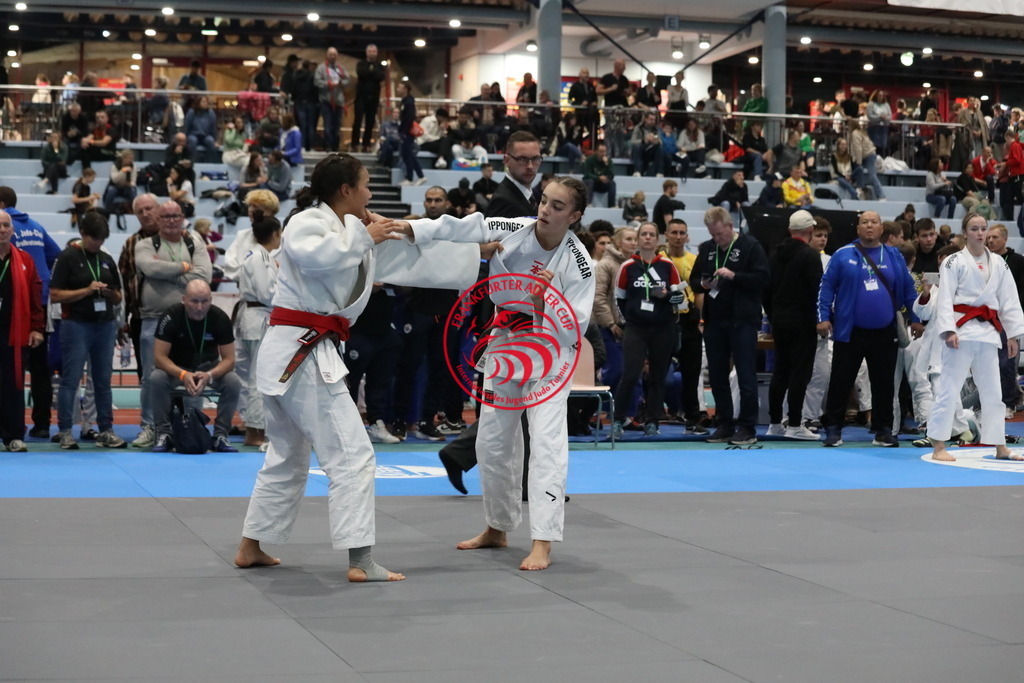 1J7A2490 | Fotos vom Adler Cup - Pictures from Adler Cup

Hier findet Ihr alle Eindrücke und großen Momente der Adler Cup Wochenenden. Here you will find all impressions and great moments of the Adler Cup weekends. - Realisiert mit Pictrs.com