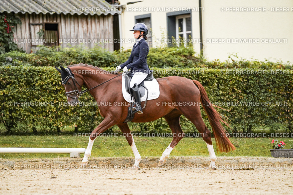 DSC06808 | Pferdegrafie