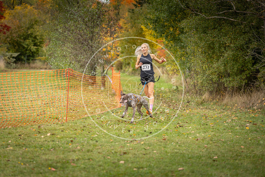 Pfotenfotografie_DV3A4468 | Hundefotografie, Tierfotograf, Pfotenfotografie, Fotoshooting Hund, Hunde Portrait, Hundesport, Hundeportraits, Heideshooting, Hunde, Sportfotograf, Hundefotograf, Turnierhundsport, THS,  - Realisiert mit Pictrs.com