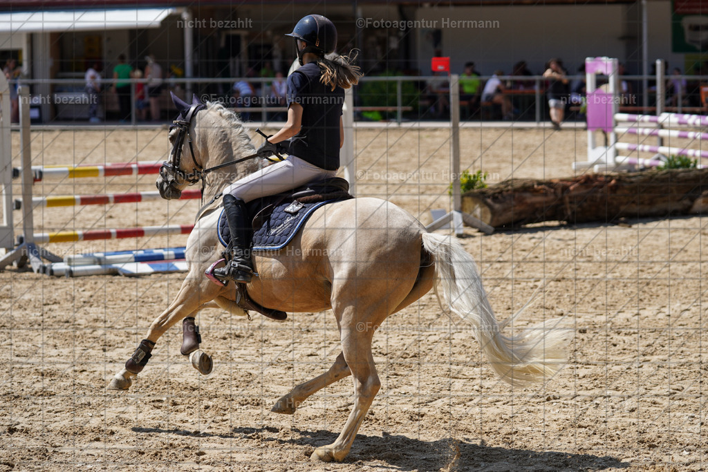 20240824-FAH08046 | Thierhaupten 2024, Bayerisches Landesponyturnier, Turnierbilder, Ponybilder, Turnierfotografen Bayern, Fotoagentur Herrmann