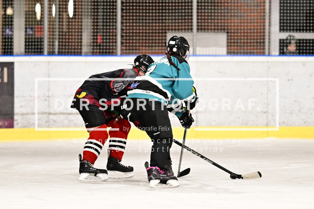 Eishockey I Frauen I Saison 2023-2024 I Testspiel I TuS Harsefeld Tigers - Crocodiles Hamburg I 05131 | Der Sportfotograf. - Realized with Pictrs.com