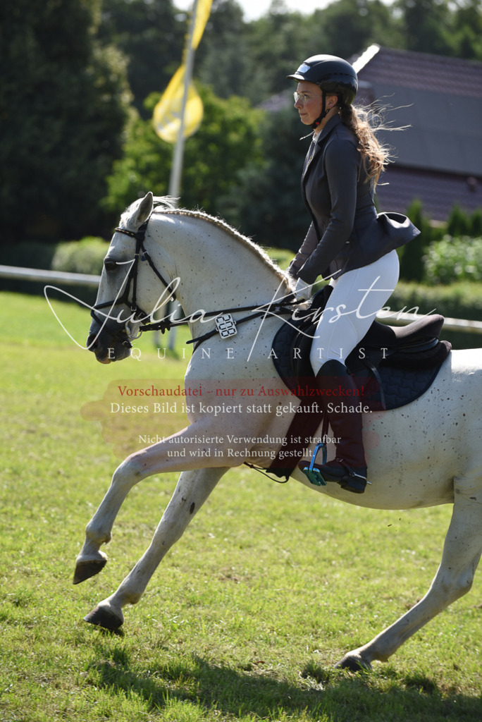 DSC_9146 | Pferde- und Turnierfotografie in Westsachsen. Pferdeportraits, Auftragszeichnungen und intuitive Kunst.