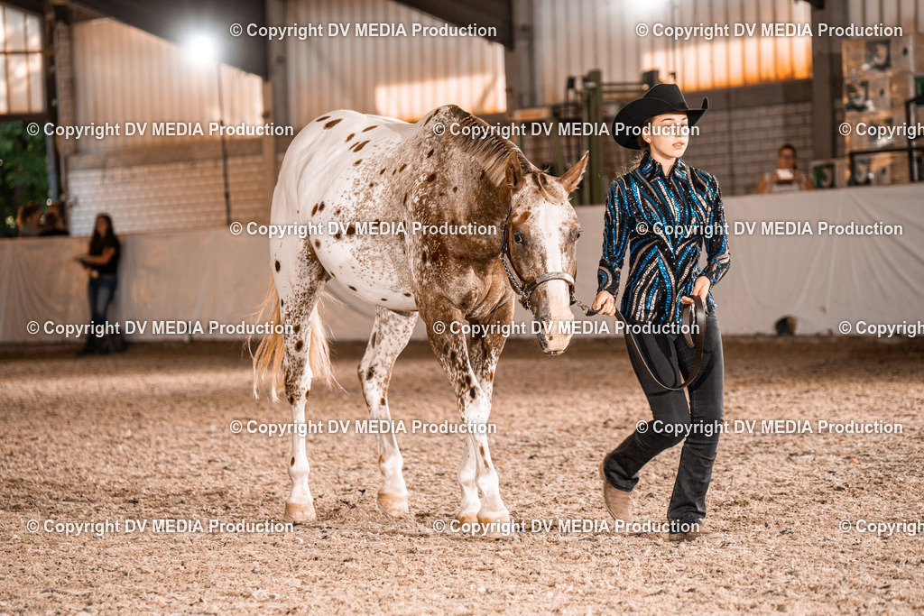 ZH100063 | dv-media-shop - Realisiert mit Pictrs.com