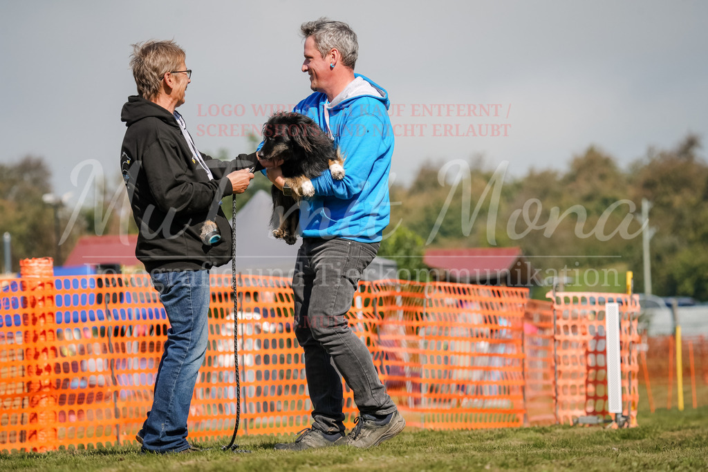 20250928_Hunderennen-497 | MuT (Mensch und Tier) mit Mona - Fotografie und Tierkommunikation - Realisiert mit Pictrs.com
