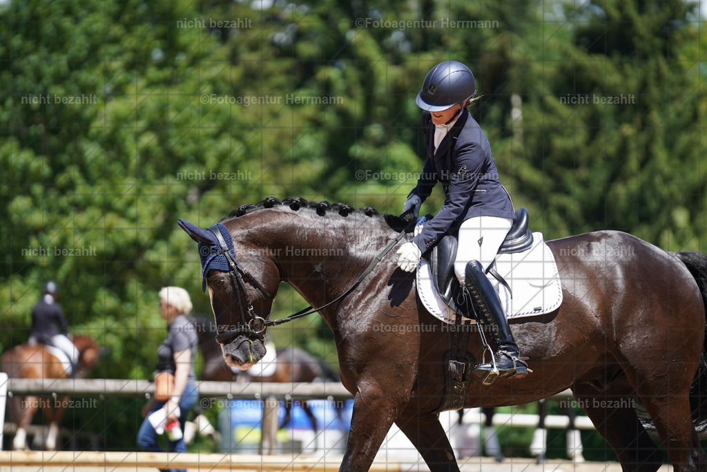 20240705-FAH03514 | Turnierbilder von Grafing, Reitsportbilder, Turnierfotos, Turnierfotografen Bayern, Pferdefotograf, Fotoagentur Herrmann