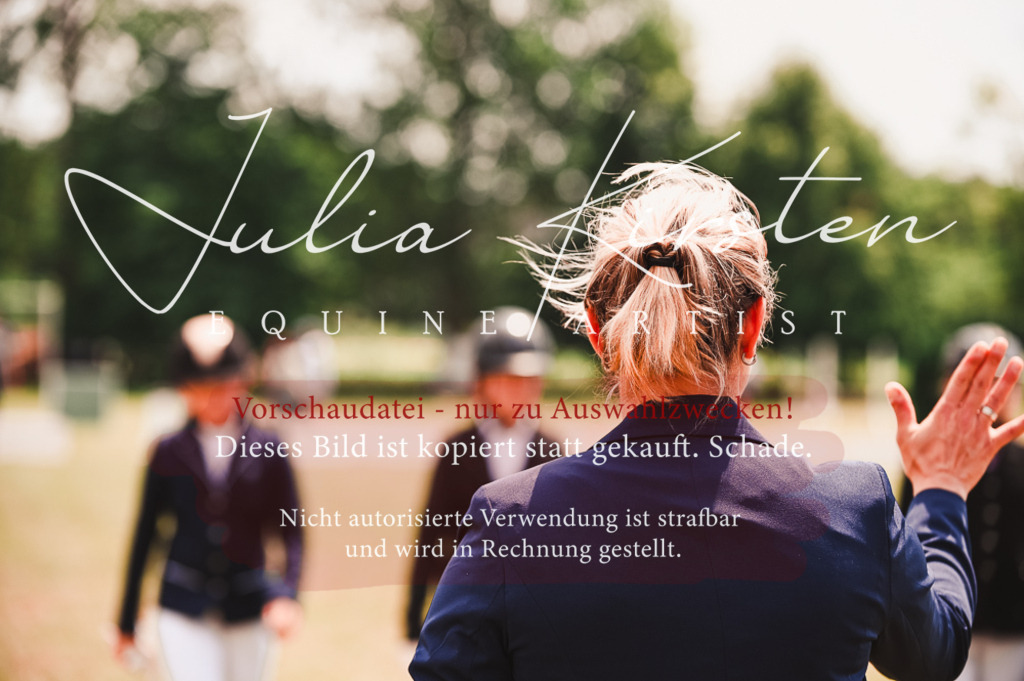 DSC_6402 | Pferde- und Turnierfotografie in Westsachsen. Pferdeportraits, Auftragszeichnungen und intuitive Kunst.