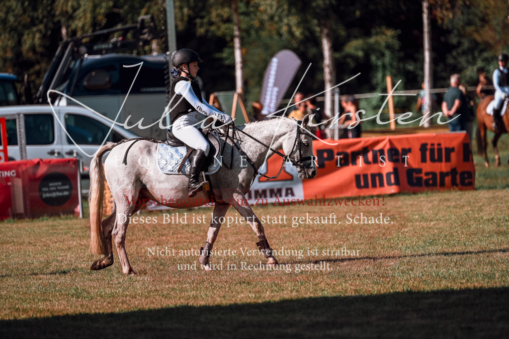 DSC_0634 | Pferde- und Turnierfotografie in Westsachsen. Pferdeportraits, Auftragszeichnungen und intuitive Kunst.