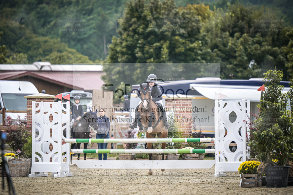 DOS_2289 | Entdecke hochwertige Reitturnierfotos von Foto Oger. Professionell, emotional und authentisch – jetzt Lieblingsmomente im Shop bestellen. - Realisiert mit Pictrs.com