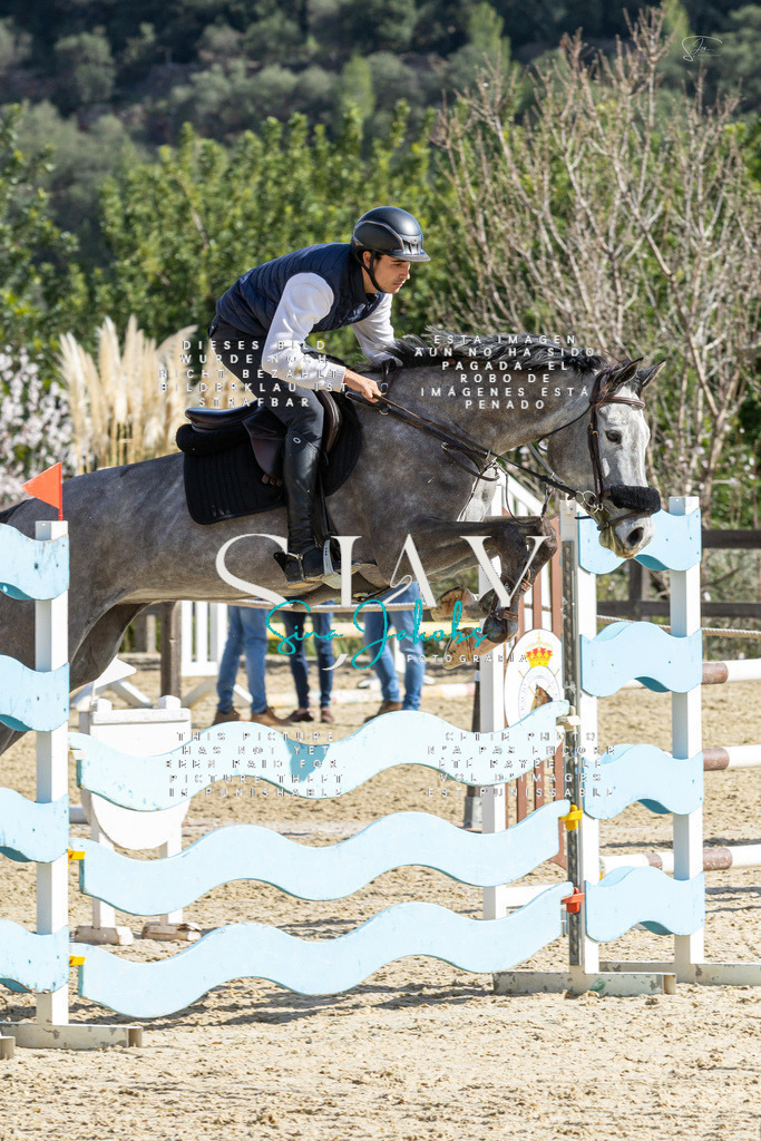 IMG_4110 | s-jay-photography - Realisiert mit Pictrs.com