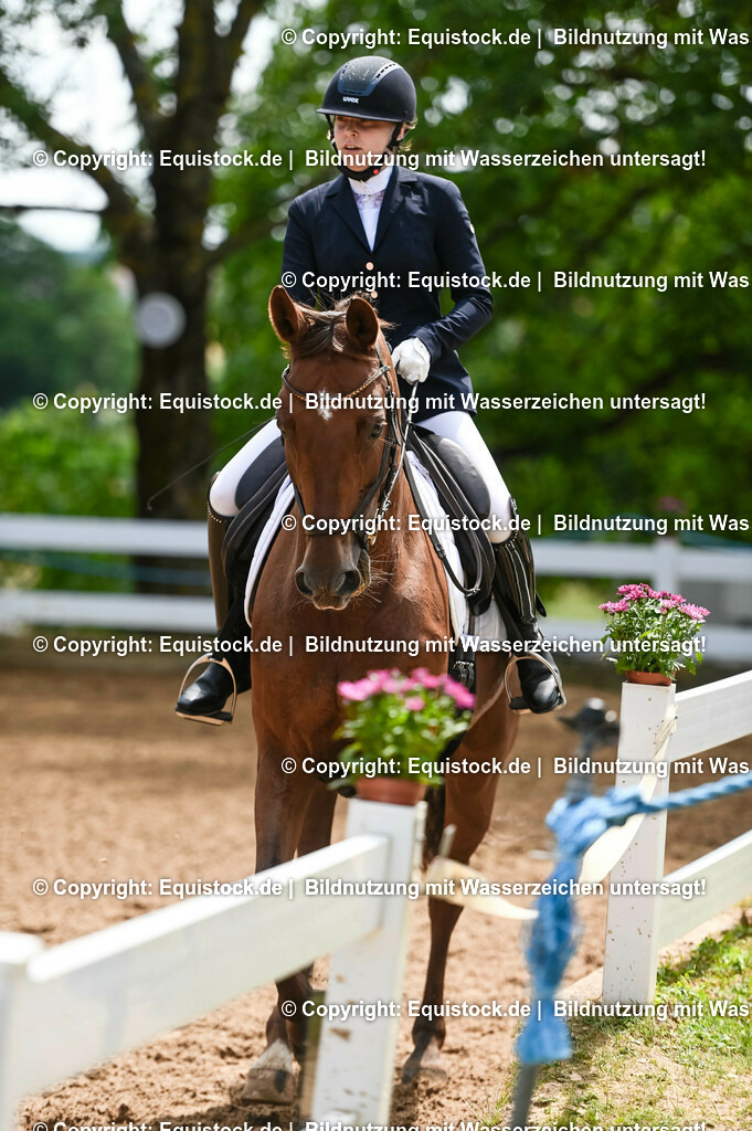 20230716_03_Dressurprfg. Kl.L - Tr._0394 | equistock