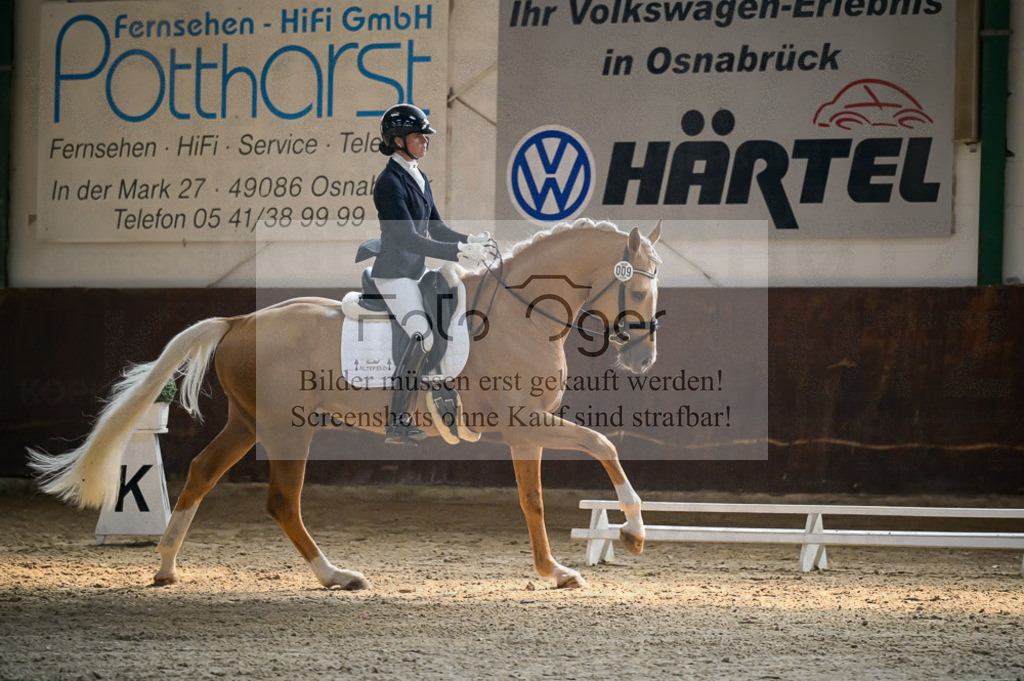 Reitturnier Voxtrup | Entdecke hochwertige Reitturnierfotos von Foto Oger. Professionell, emotional und authentisch – jetzt Lieblingsmomente im Shop bestellen.Deutschlandweite Turnierfotografie. - Realisiert mit Pictrs.com