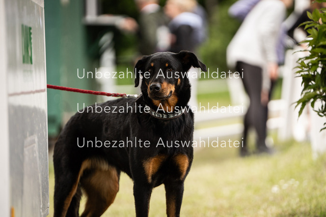 Bad_Meinberg_09852 | saradresslerfotografie - Realisiert mit Pictrs.com