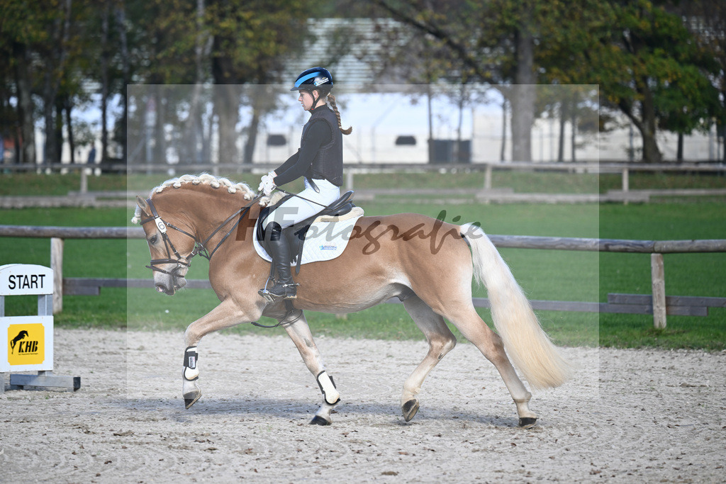 Kat-Nr. 6 Solero-D_Mahlknecht_44240861 | hf-fotografie - Realisiert mit Pictrs.com