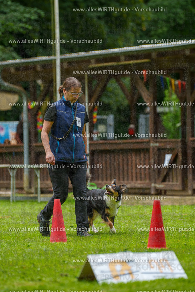 @allesWIRTHgut_Tierfotografie - www.allesWIRTHgut.de - 091851-7R506927 | Professionelle Tierfotografie in Mönchengladbach von Daniel Wirth (allesWIRTHgut). Liebevolle & natürliche Bilder von Hunden & Katzen für unvergessliche Erinnerungen.