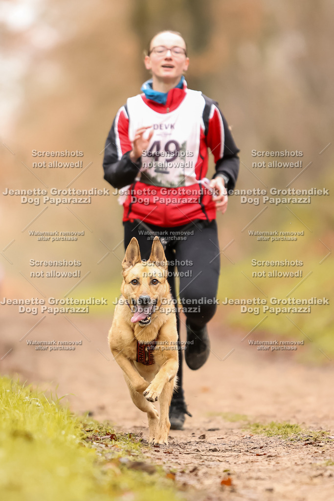 Dog Paparazzi - Speedhunter Mannheim  2025-132 | Dog Paparazzi Jeanette Grottendiek Fotografie & Videografie