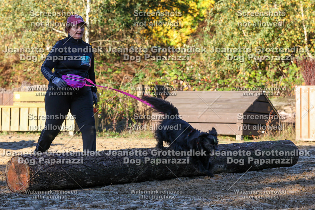 Dog Paparazzi - Strongdog 10-25-1007 | Dog Paparazzi Jeanette Grottendiek Fotografie & Videografie - Realisiert mit Pictrs.com