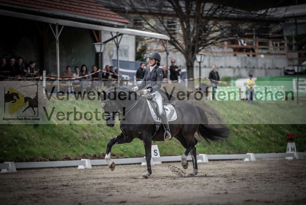 DSC_2739 | equestrian-live-com
