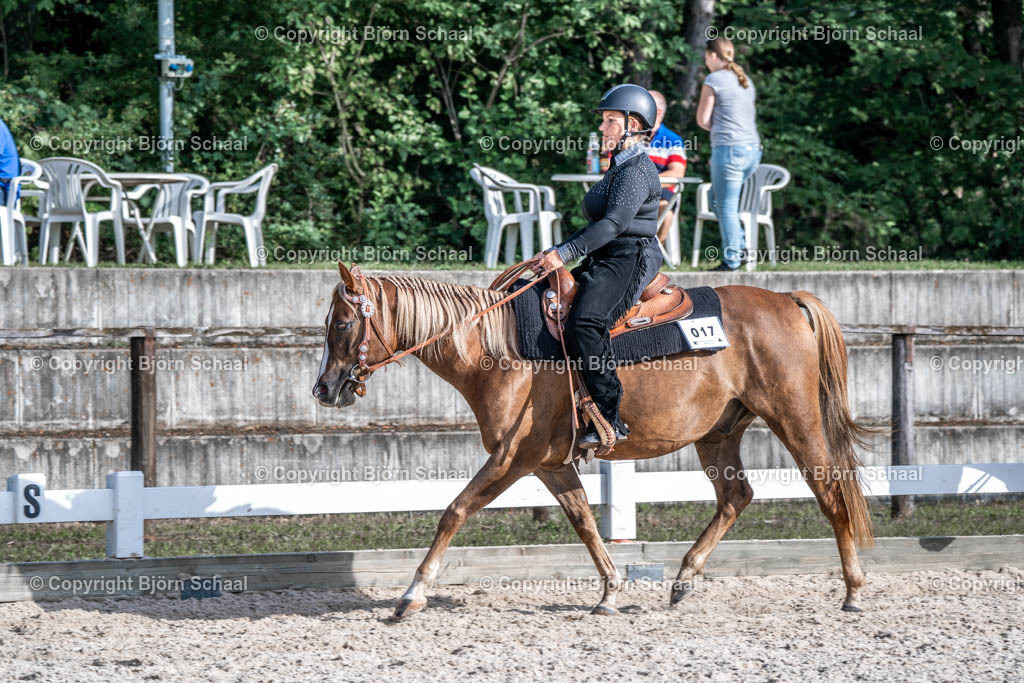 HOB08196 | BS-foto