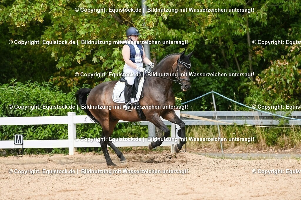 20230715_02_Dressurreiterprüfung Kl.L_0381 | equistock