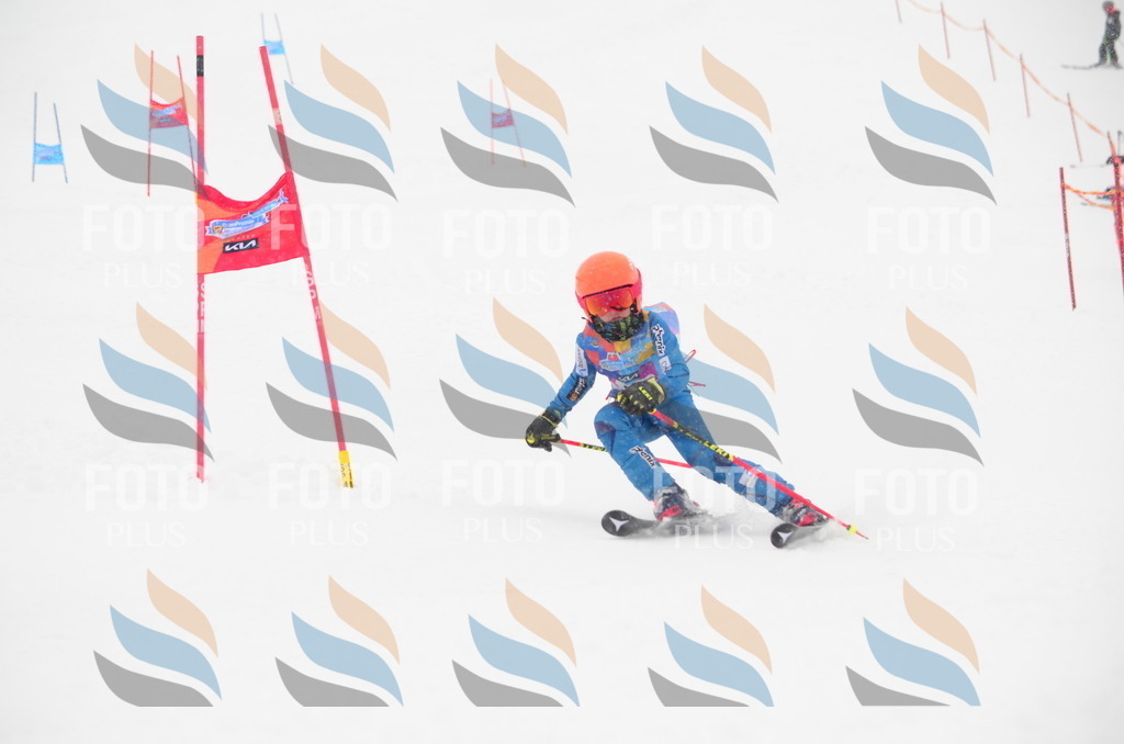 C0735 | holidayphoto