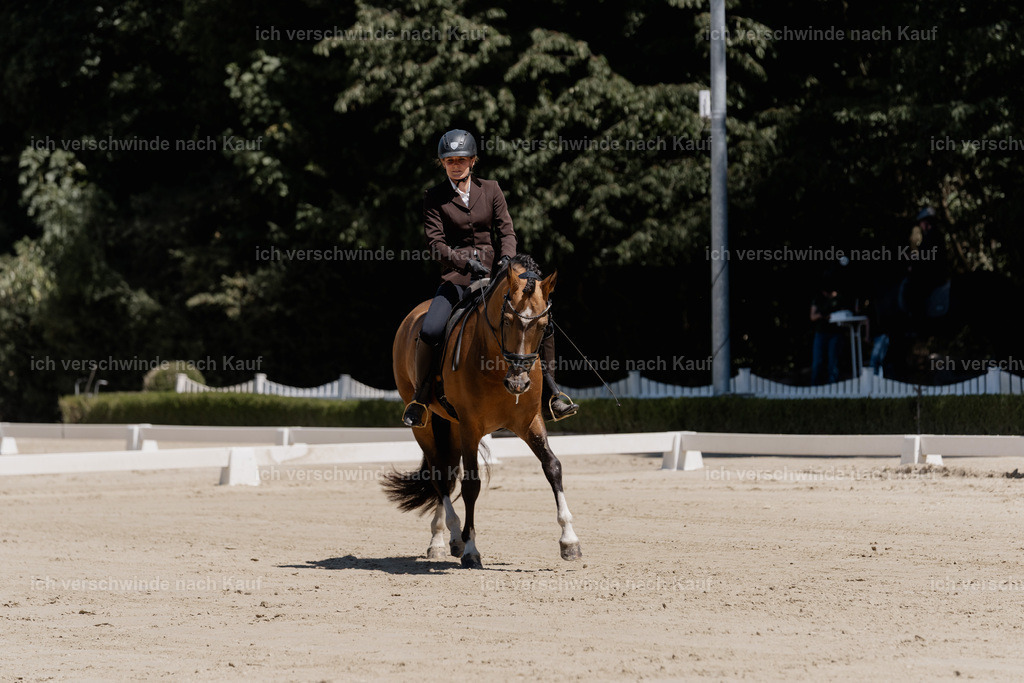 WE_DR_23_SinaFilmArt_IN02985 | working equitationturnier fotograf videograf stoibphotography marixx film working equitation deutschland reitsport turnierfotografie eventfotografie equestrian events