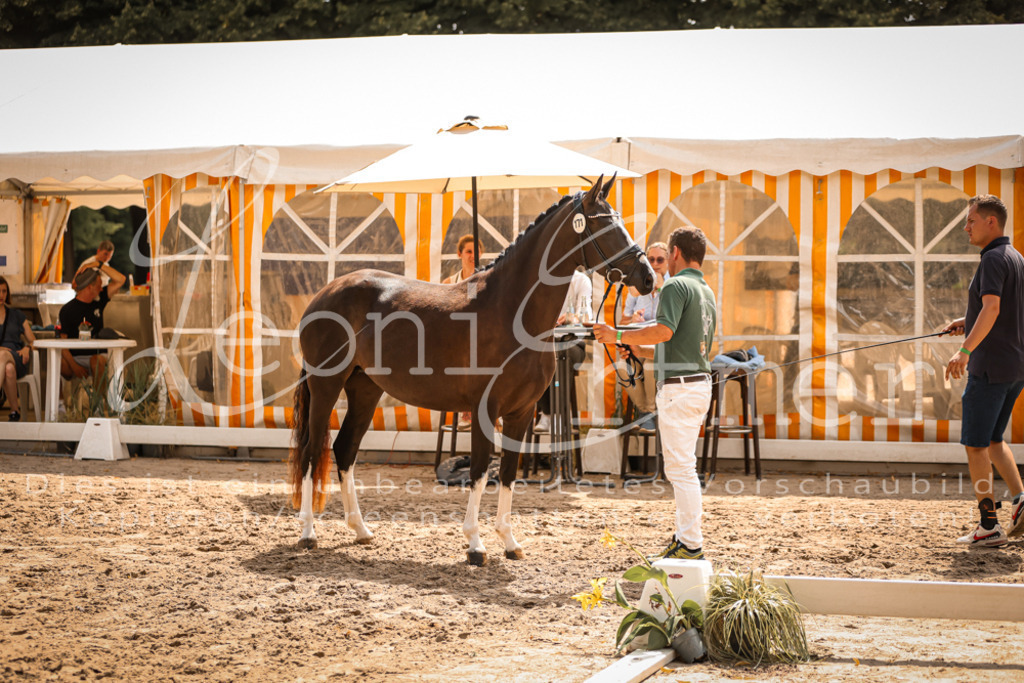 11.So00073 | Leoni Ertmer Photography - Realisiert mit Pictrs.com