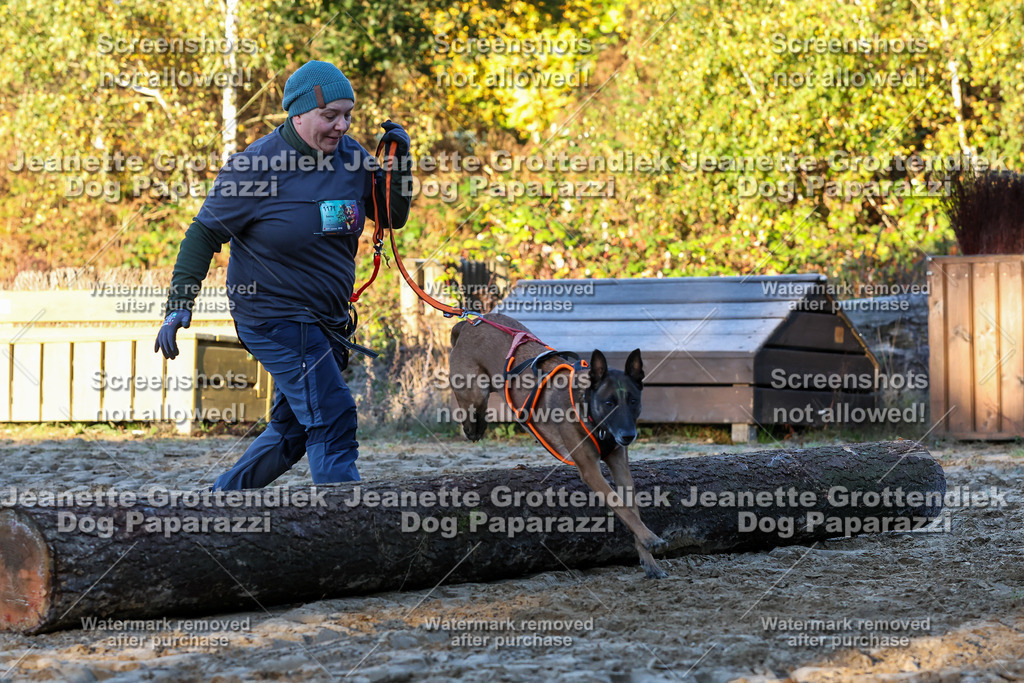 Dog Paparazzi - Strongdog 10-25-646 | Dog Paparazzi Jeanette Grottendiek Fotografie & Videografie - Realisiert mit Pictrs.com