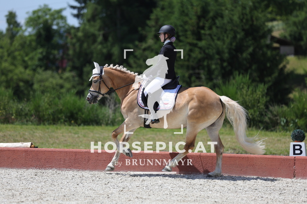 0P6A1278 | Willkommen bei Brunnmayr - Design & Fotografie – Ihrem Spezialisten für Reitturniere und Pferdeveranstaltungen in Oberösterreich, Salzburg und Bayern! Seit über 17 Jahren sind wir leidenschaftlich dabei.