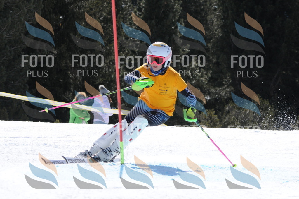 C9252 | holidayphoto