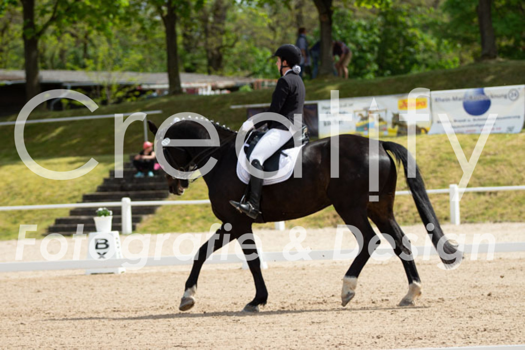 IMG_6347 | Creatify Fotografie