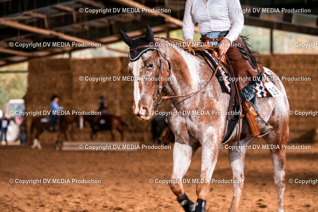 Balingen Tag 1-1159 | dv-media-shop - Realisiert mit Pictrs.com