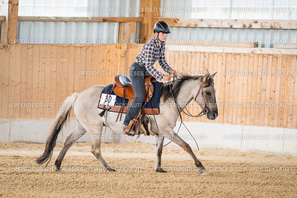 DSC01818 | Pferdegrafie