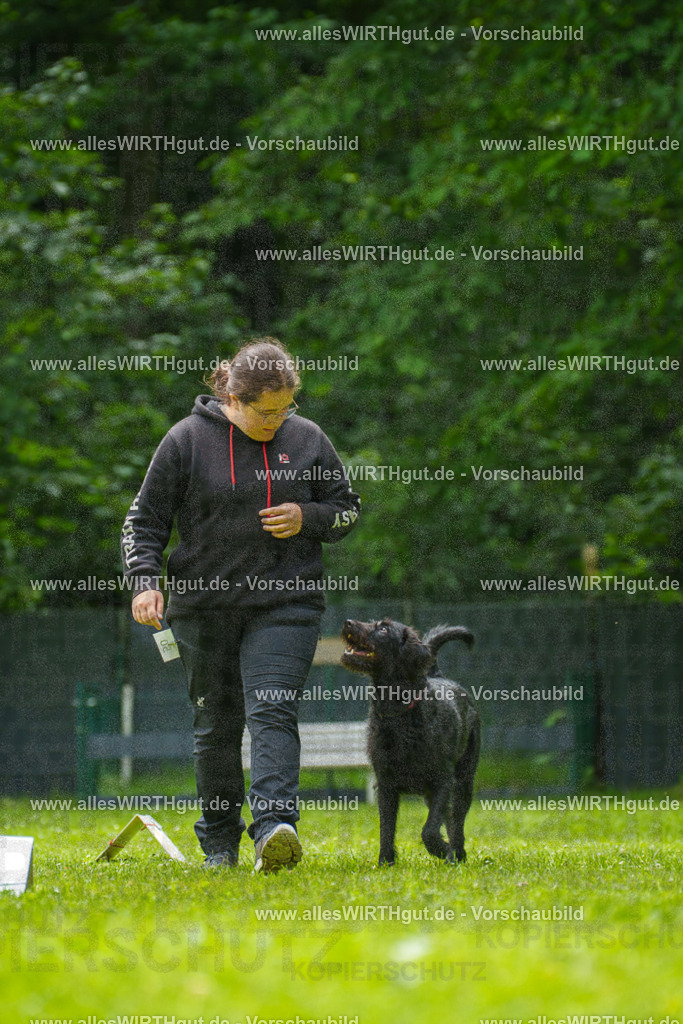 @allesWIRTHgut_Tierfotografie - www.allesWIRTHgut.de - 7R500703 | Professionelle Tierfotografie in Mönchengladbach von Daniel Wirth (allesWIRTHgut). Liebevolle & natürliche Bilder von Hunden & Katzen für unvergessliche Erinnerungen.
