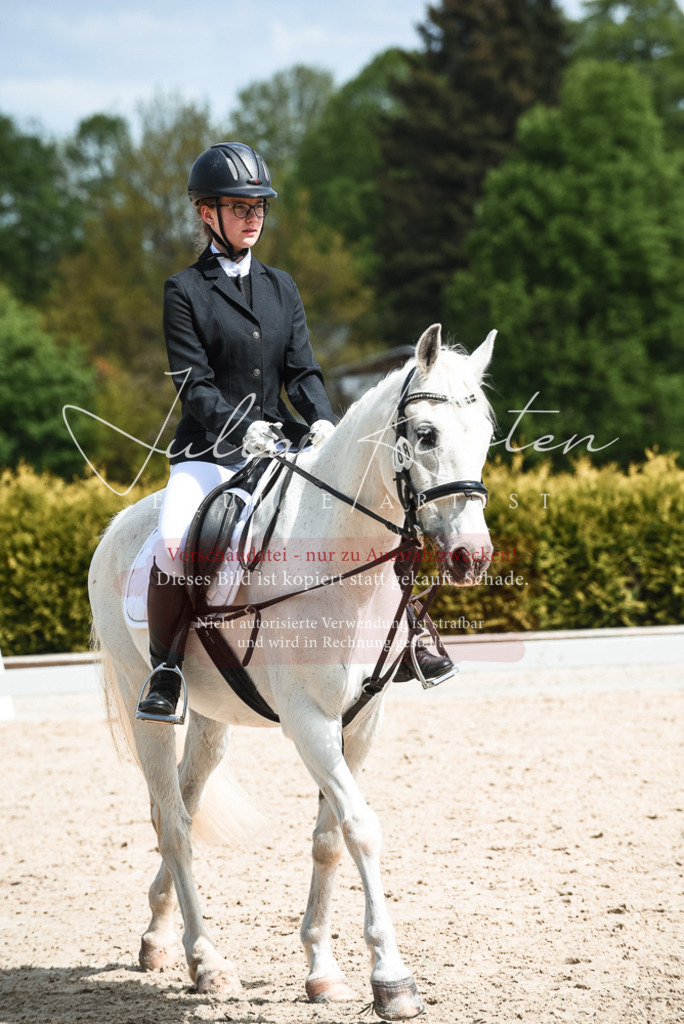 20230518_JK-Röhrsdorf-11-0867 | Pferde- und Turnierfotografie in Westsachsen. Pferdeportraits, Auftragszeichnungen und intuitive Kunst.