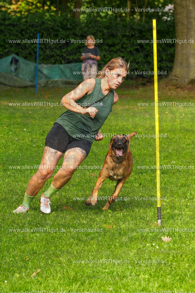 THS_Turnier_27-09-2026-allesWIRTHgut_Tierfotografie-7R506923 | Professionelle Tierfotografie in Mönchengladbach von Daniel Wirth (allesWIRTHgut). Liebevolle & natürliche Bilder von Hunden & Katzen für unvergessliche Erinnerungen.