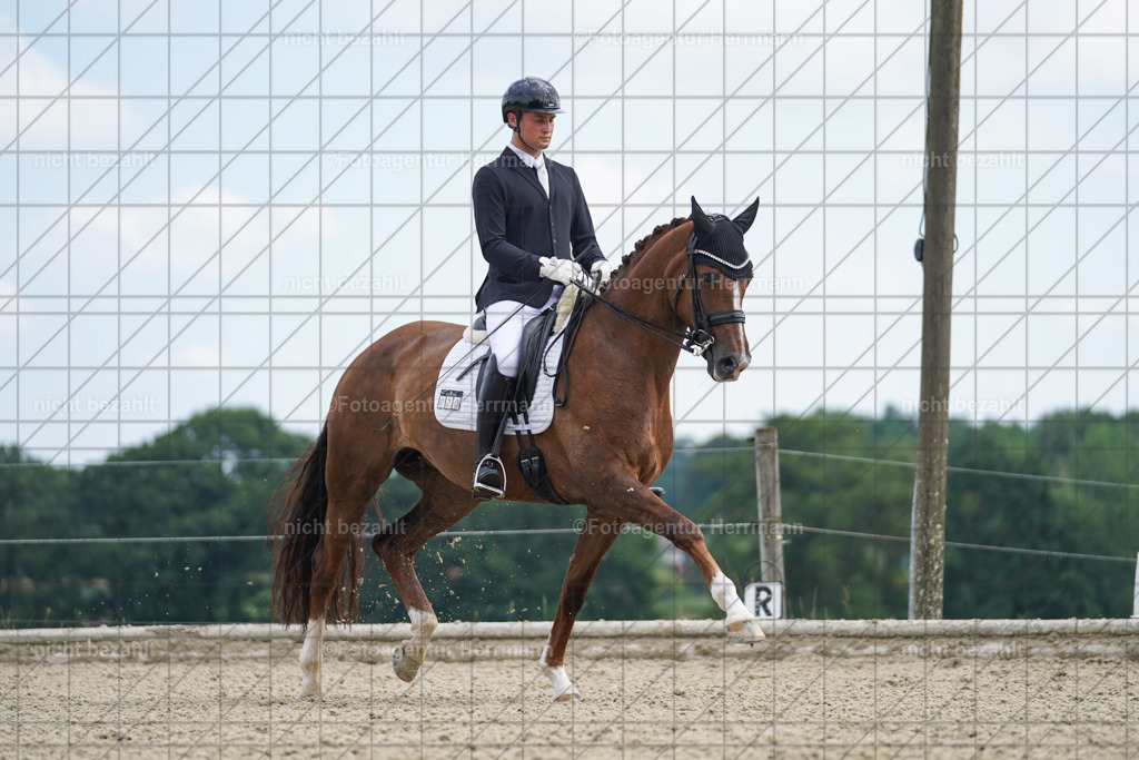 20230826-FAH05918 | Forstinning, 2023, Dressurturnier, Turniersportbilder, Turnierfotografen Bayern, Fotoagentur Herrmann, Reitsportfotografie, Turnierbilder