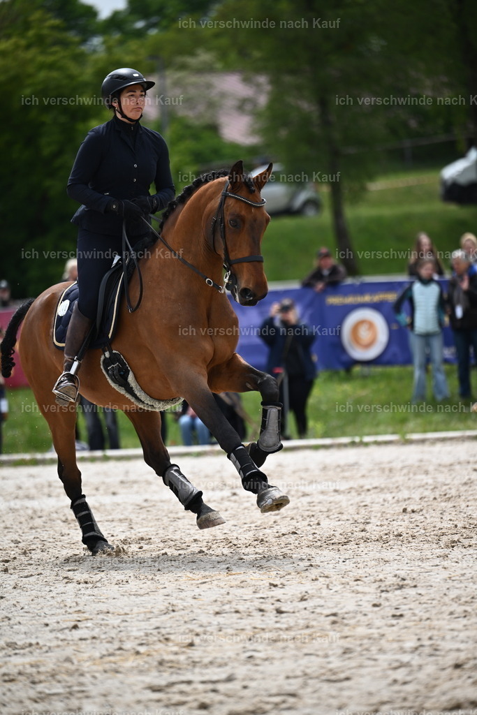 PI26_SP_Sara_Landvogt_226_5099.JPG | working equitationturnier fotograf videograf stoibphotography marixx film working equitation deutschland reitsport turnierfotografie eventfotografie equestrian events