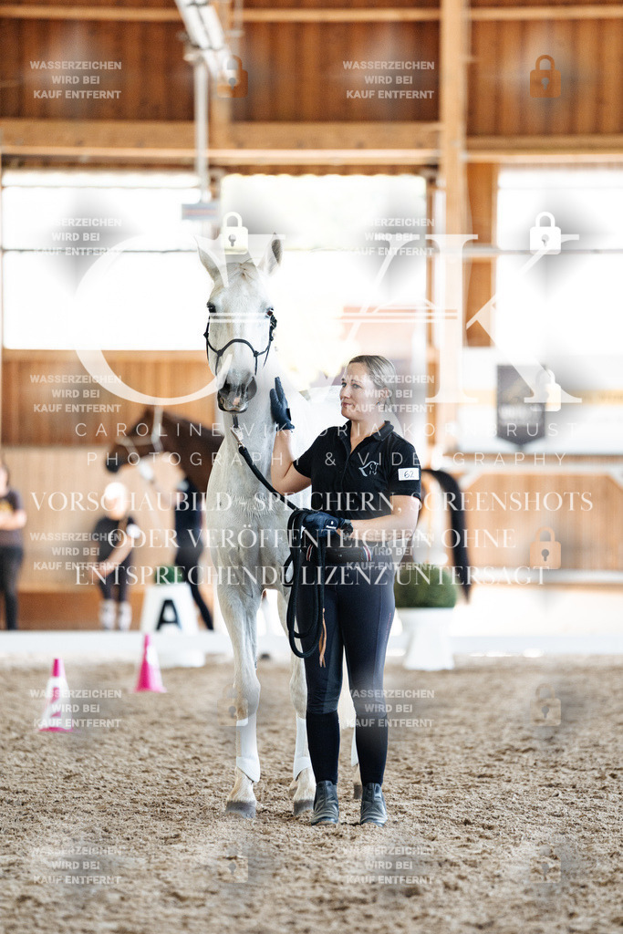 CK907750 | Turnierfotografie Pferdefotografie Trier Rheinland-Pfalz Pferdesport Reitsport Tierfotografie Sportfotografie Pferdevideo Pferdevideografie Equestrianvideography equestrianphotography  - Realisiert mit Pictrs.com