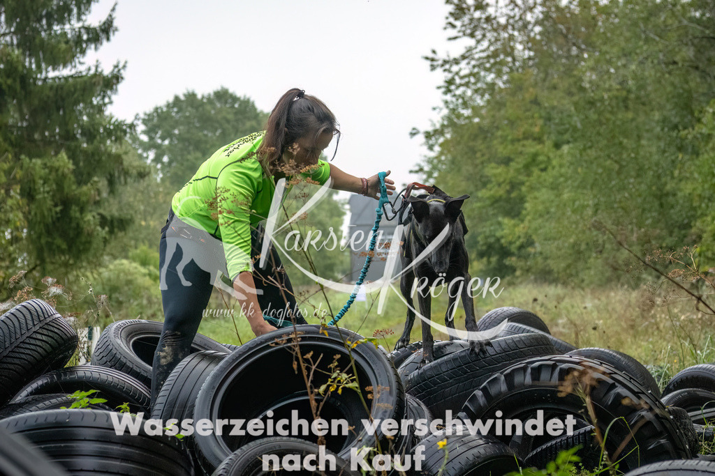 0846_ZZ90385-Bearbeitet | kk-dogfotos