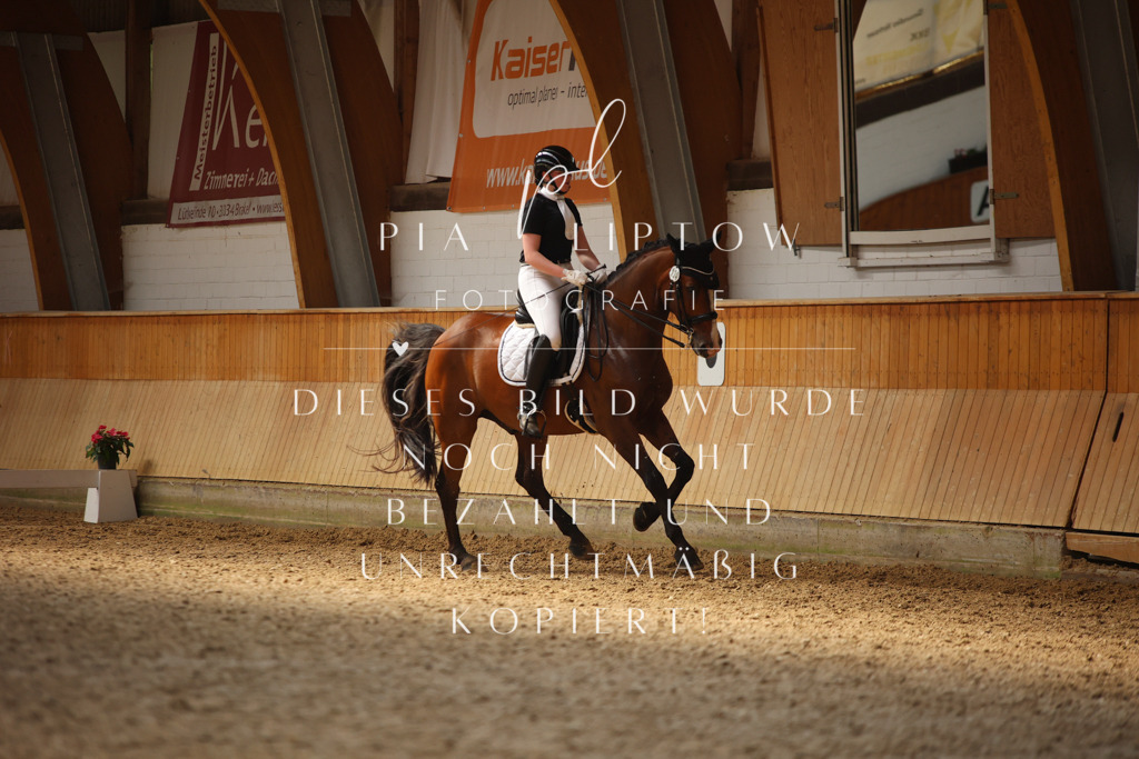 IMGM7061 | pl-fotografie