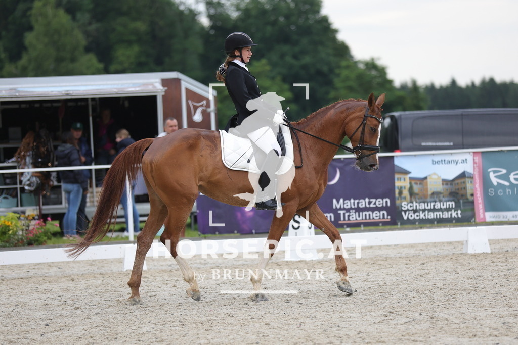 0P6A3599 | Willkommen bei Brunnmayr - Design & Fotografie – Ihrem Spezialisten für Reitturniere und Pferdeveranstaltungen in Oberösterreich, Salzburg und Bayern! Seit über 17 Jahren sind wir leidenschaftlich dabei.