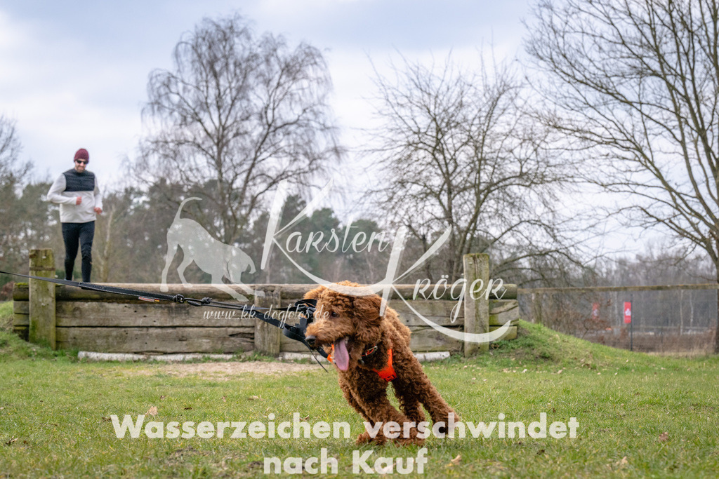 _ZZ92411 | kk-dogfotos