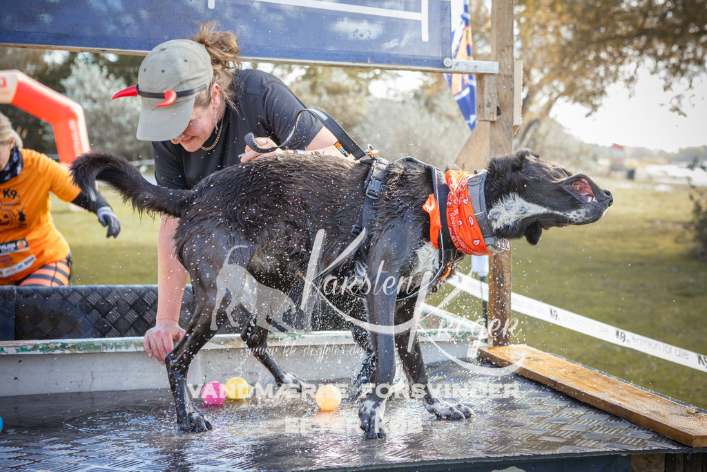 1307_ZZ99207-2 | kk-dogfotos
