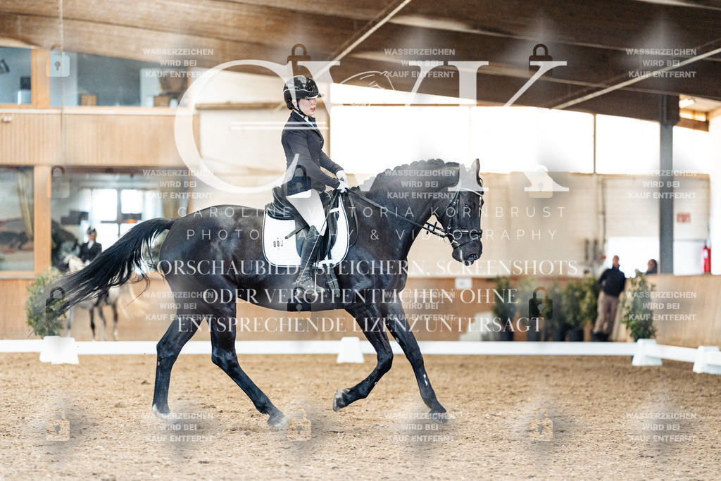 CK909521 | Turnierfotografie Pferdefotografie Trier Rheinland-Pfalz Pferdesport Reitsport Tierfotografie Sportfotografie Pferdevideo Pferdevideografie Equestrianvideography equestrianphotography  - Realisiert mit Pictrs.com