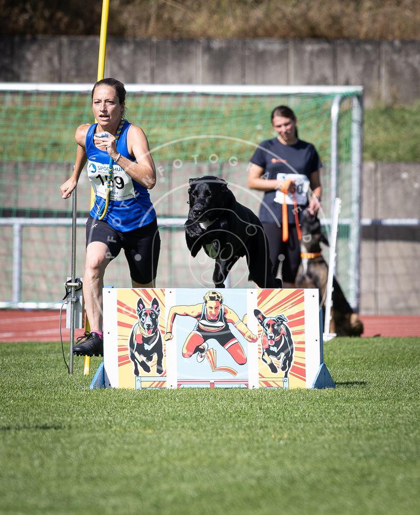 Pfotenfotografie_DV3A9590 | Hundefotografie, Tierfotograf, Pfotenfotografie, Fotoshooting Hund, Hunde Portrait, Hundesport, Hundeportraits, Heideshooting, Hunde, Sportfotograf, Hundefotograf, Turnierhundsport, THS,  - Realisiert mit Pictrs.com